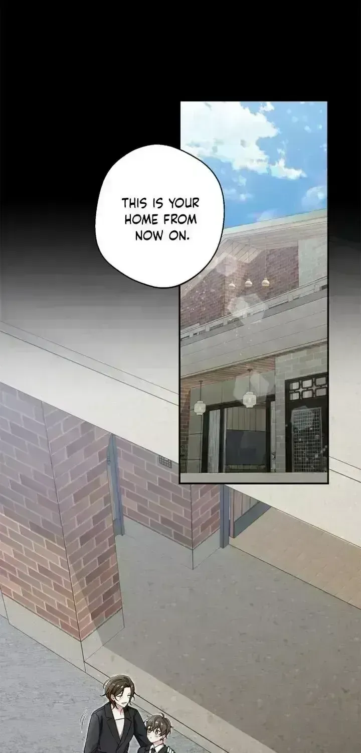 Even a lonely squirrel has its own burrow Chapter 2.7 page 37 - 