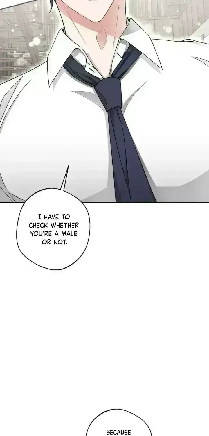 Even a lonely squirrel has its own burrow Chapter 3.2 page 5 - 
