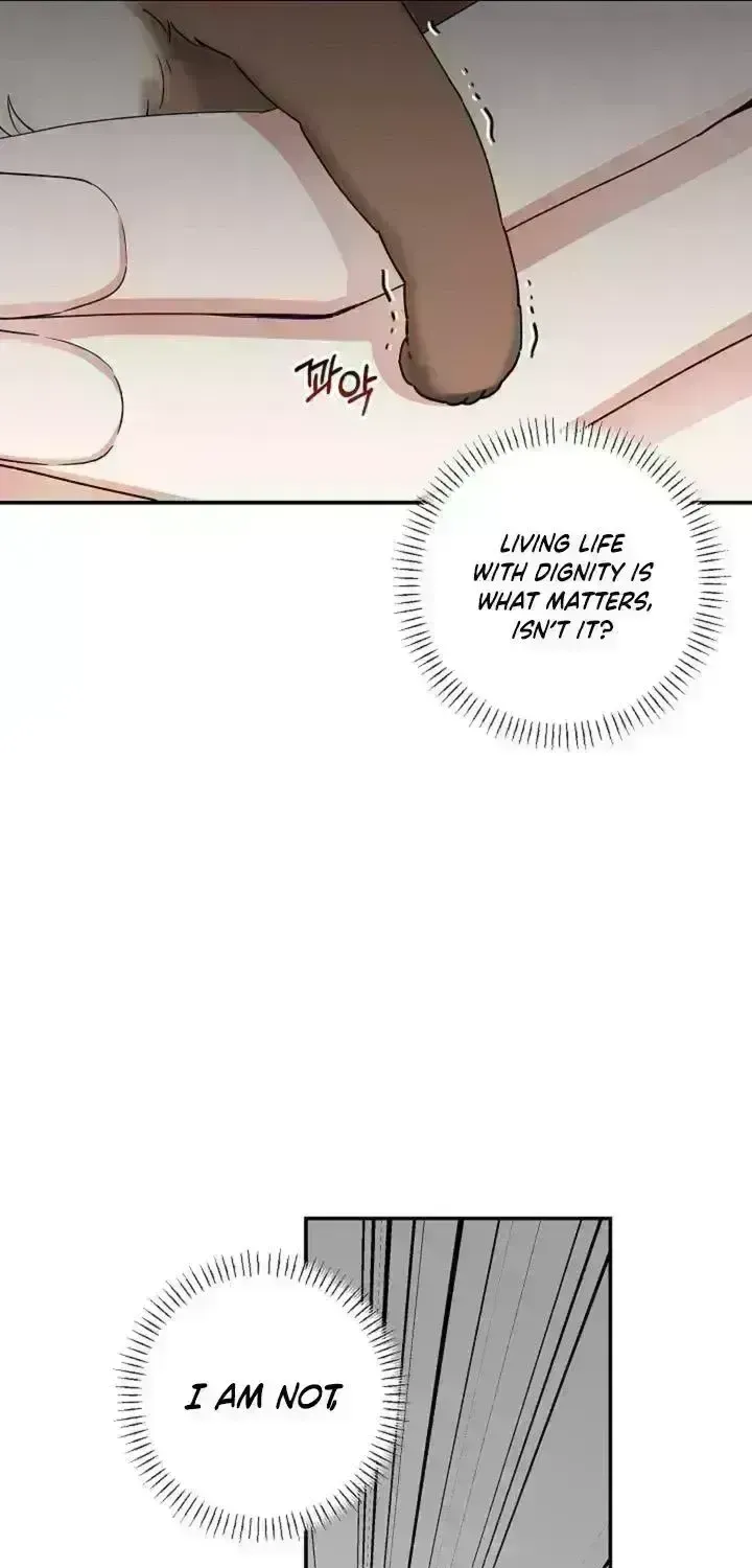 Even a lonely squirrel has its own burrow Chapter 3 page 12 - 