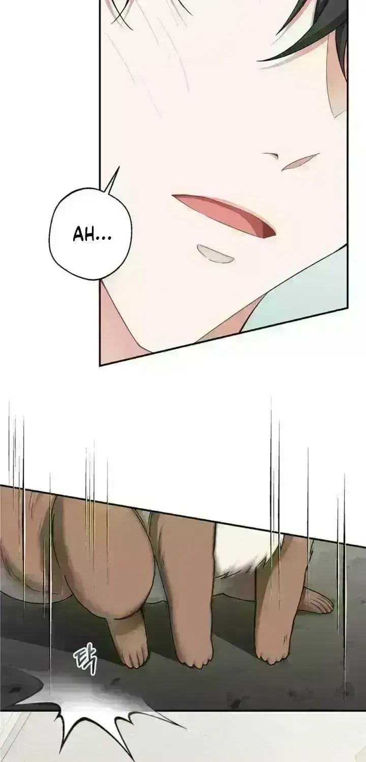 Even a lonely squirrel has its own burrow Chapter 4.5 page 16 - 