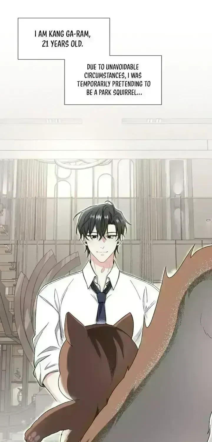 Even a lonely squirrel has its own burrow Chapter 4.5 page 19 - 