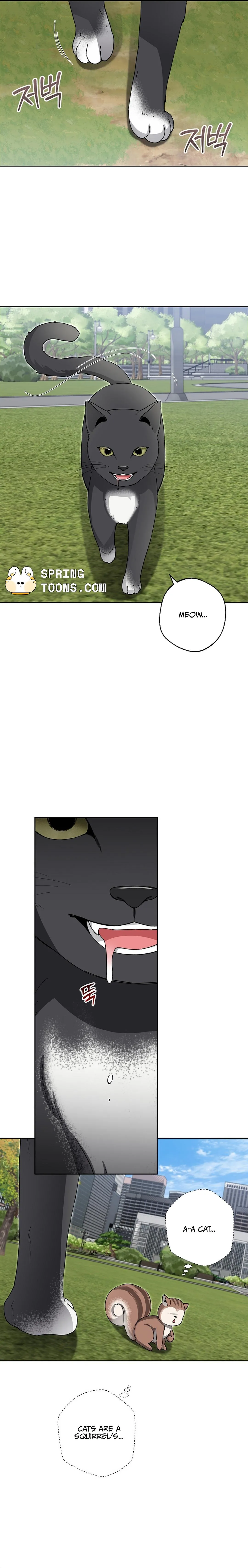 Even a lonely squirrel has its own burrow Chapter 5 page 14 - 