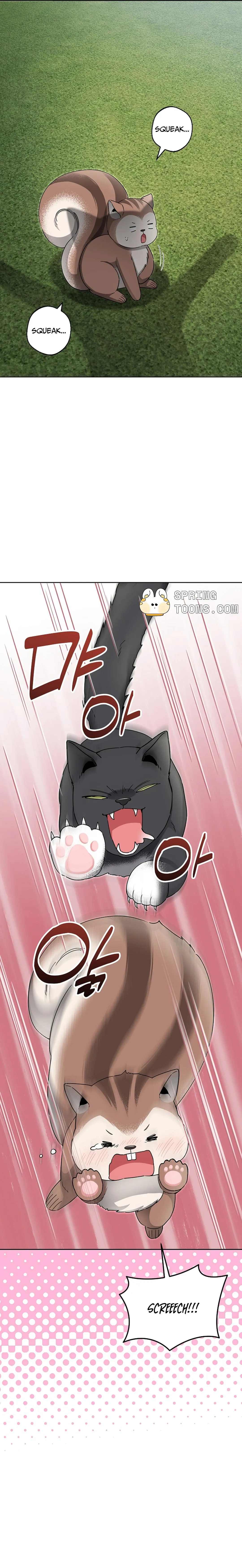 Even a lonely squirrel has its own burrow Chapter 5 page 16 - 