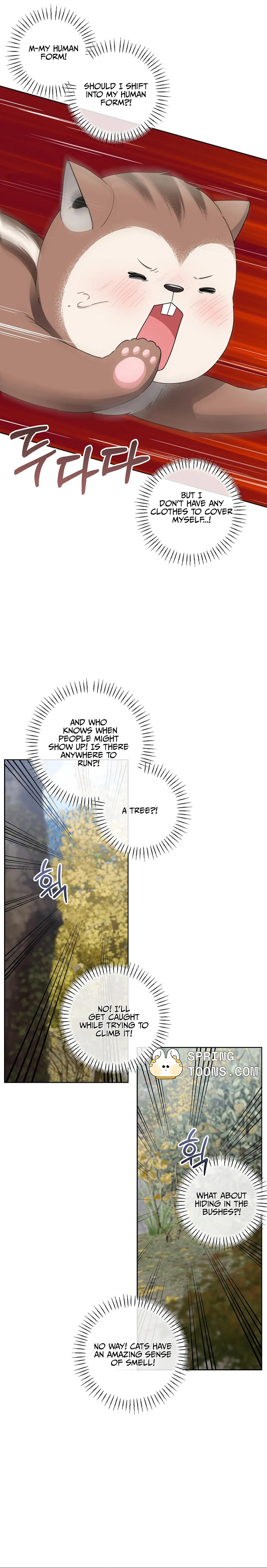 Even a lonely squirrel has its own burrow Chapter 5 page 17 - 