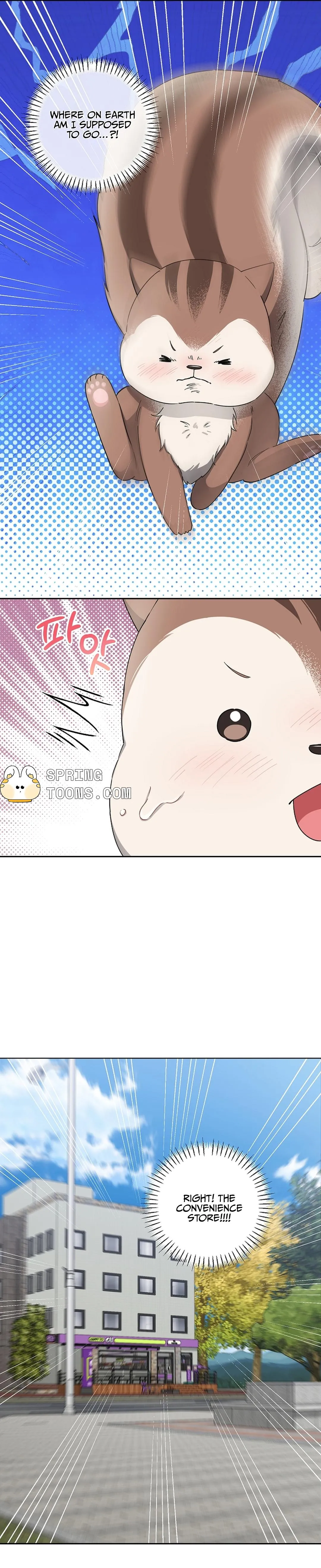 Even a lonely squirrel has its own burrow Chapter 5 page 18 - 