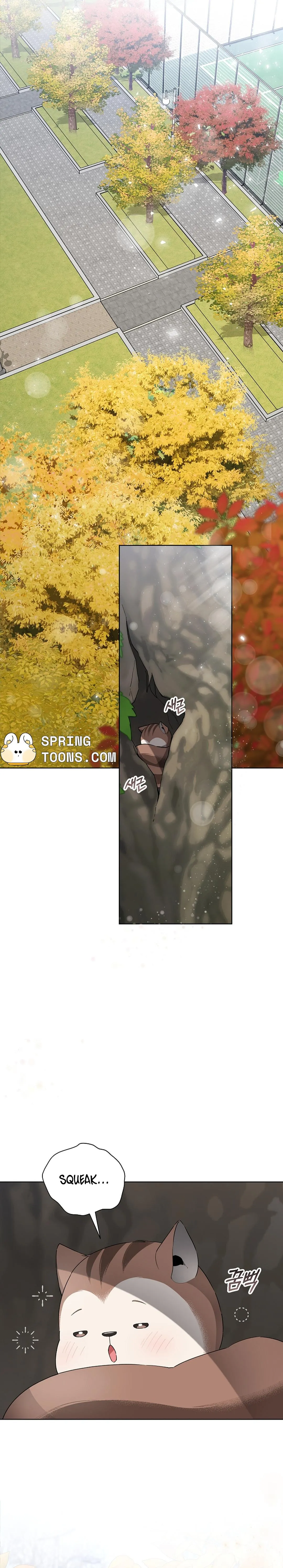 Even a lonely squirrel has its own burrow Chapter 5 page 7 - 