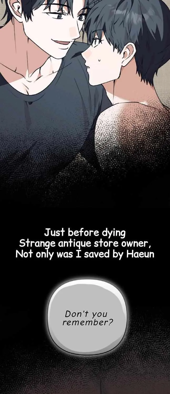 Even Dogs Don