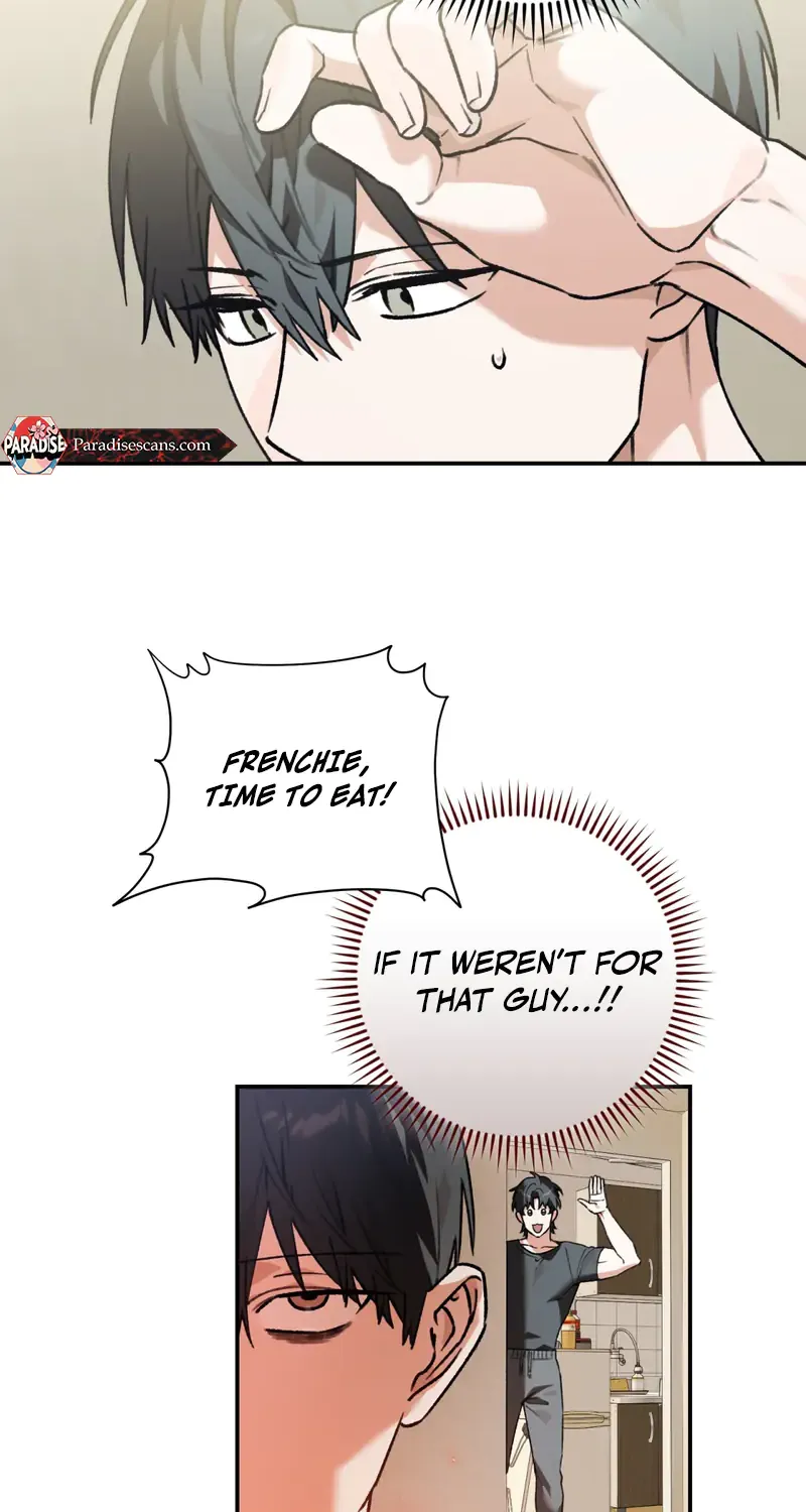 Even Dogs Don