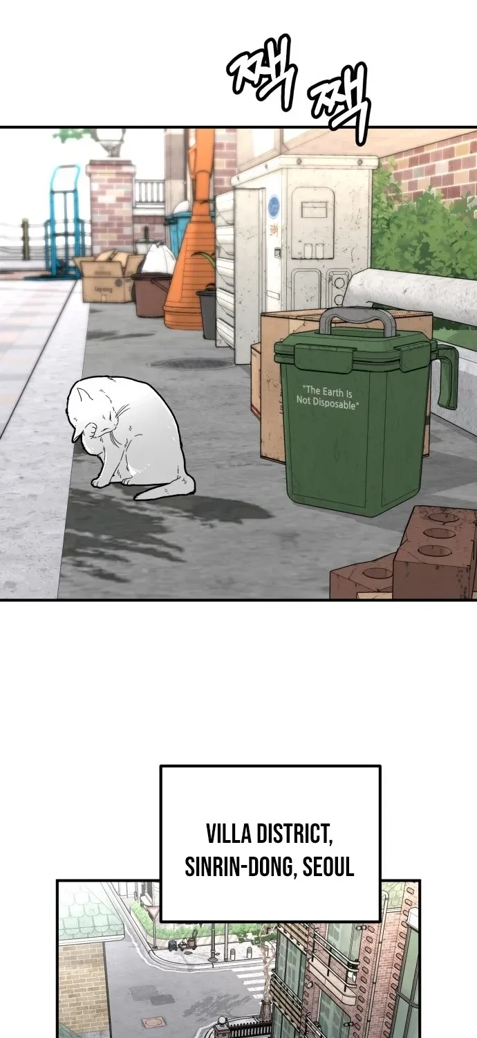 Even if It Rots, It
