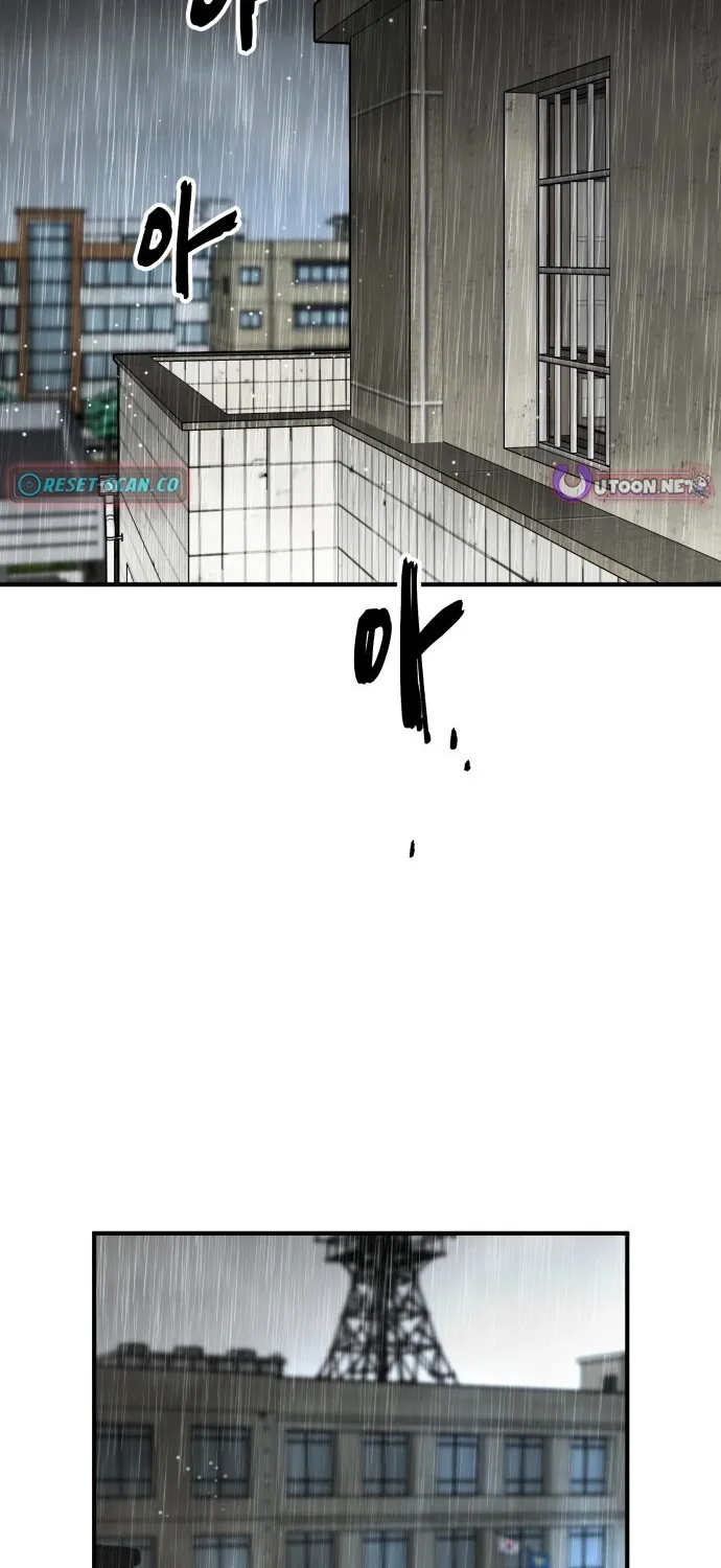 Even if It Rots, It
