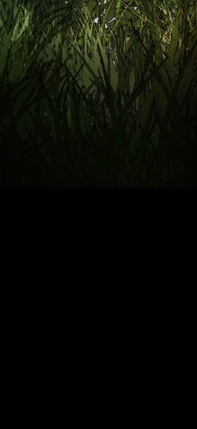 Even if It Rots, It