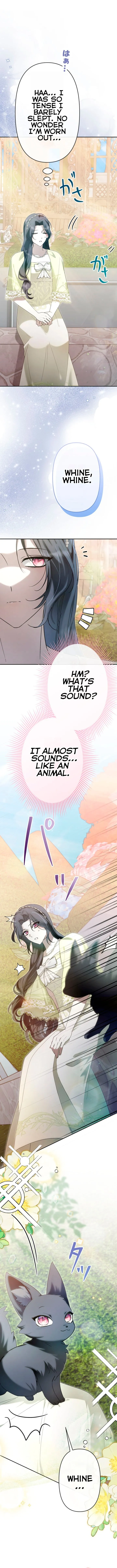 Even Though I Die in Half a Year, I Captivated the Tyrant Emperor Chapter 16 page 5 - 