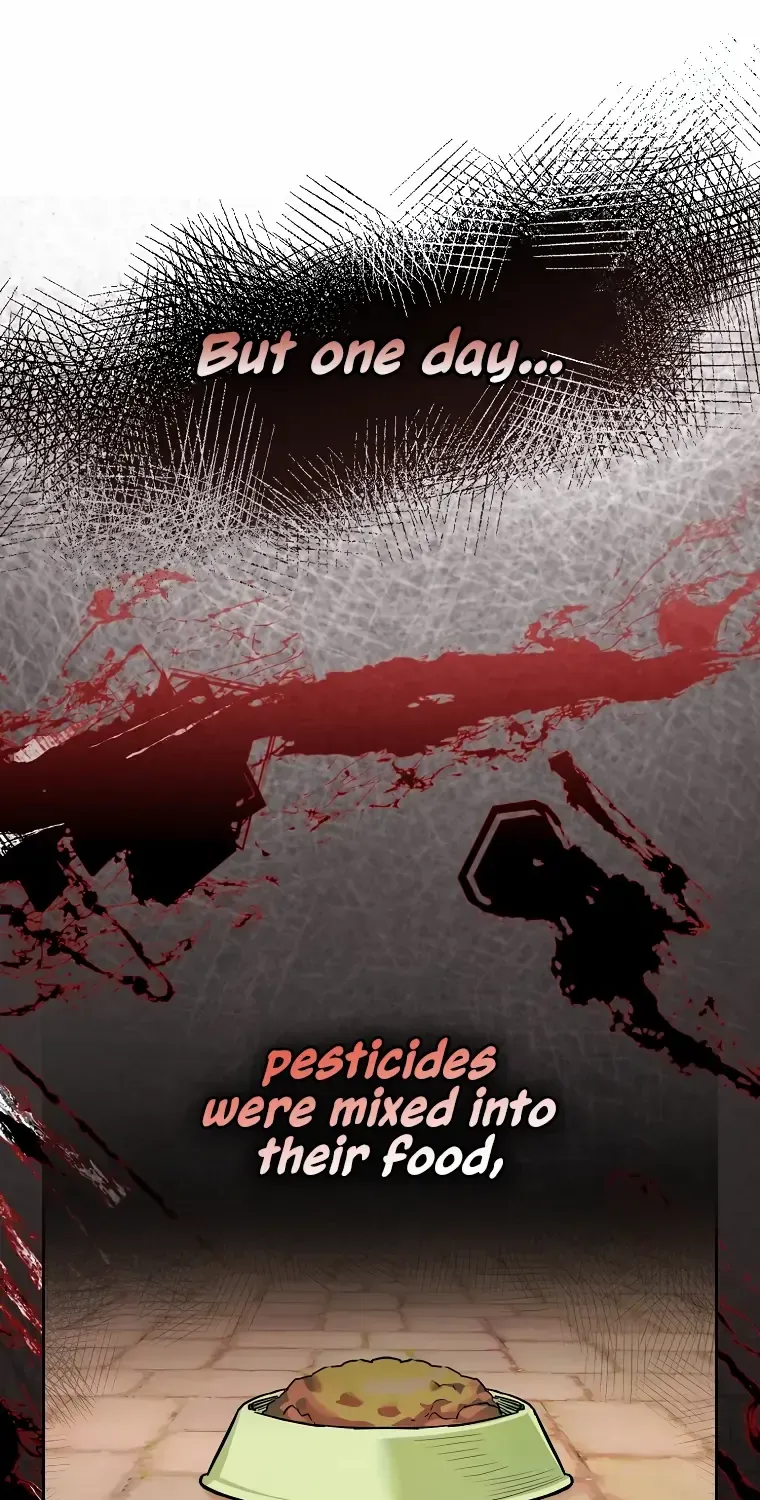 Even Though I Transmigrated as a Villainess, I’d Rather Raise a Cat Chapter 1 page 22 - 
