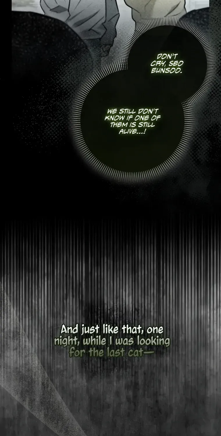 Even Though I Transmigrated as a Villainess, I’d Rather Raise a Cat Chapter 1 page 27 - 