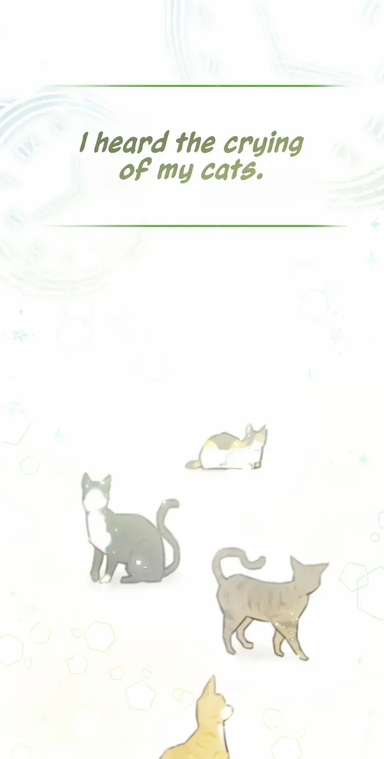 Even Though I Transmigrated as a Villainess, I’d Rather Raise a Cat Chapter 1 page 34 - 