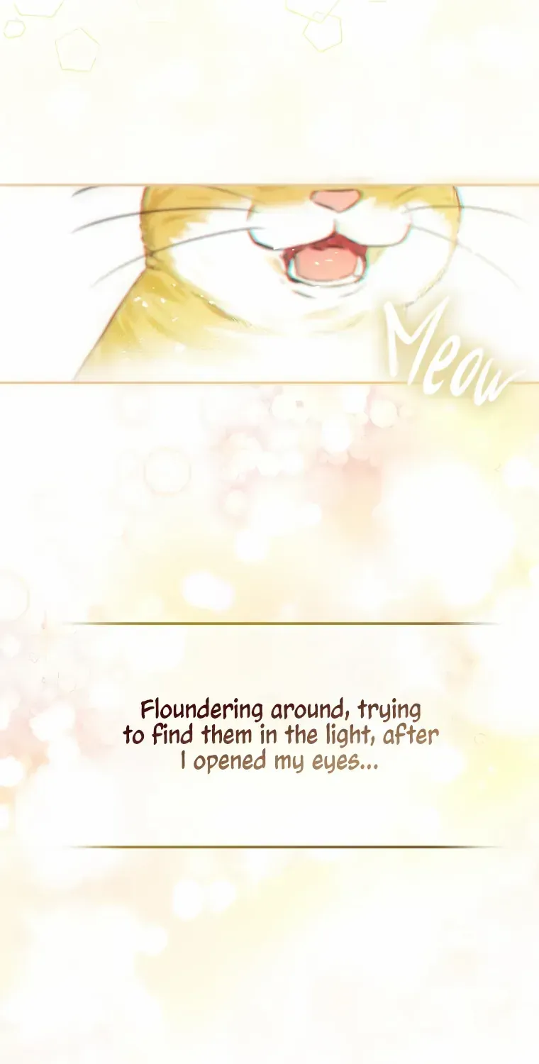 Even Though I Transmigrated as a Villainess, I’d Rather Raise a Cat Chapter 1 page 36 - 