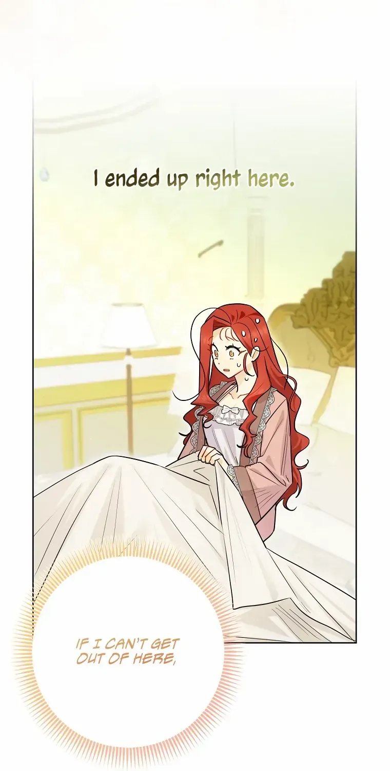 Even Though I Transmigrated as a Villainess, I’d Rather Raise a Cat Chapter 1 page 37 - 
