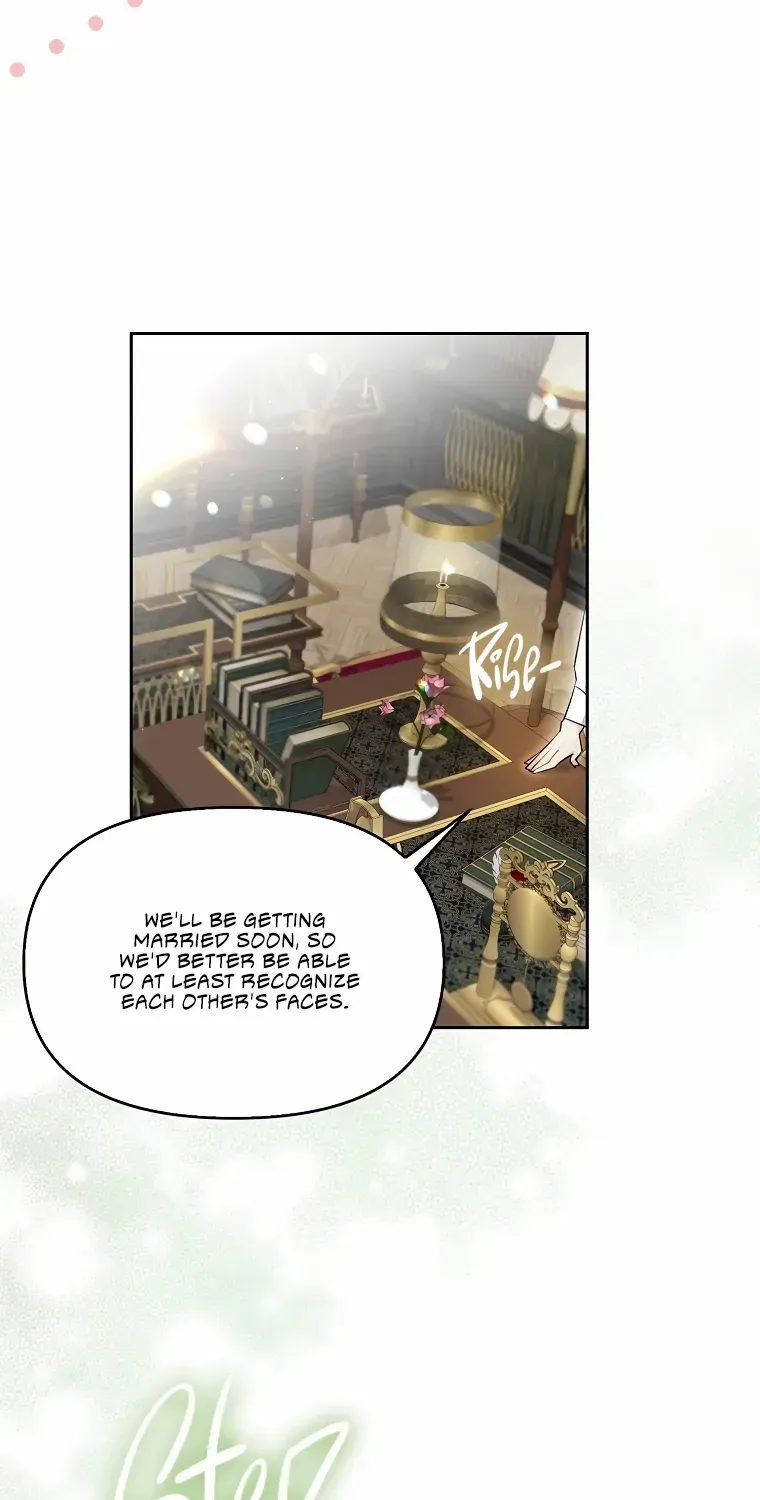 Even Though I Transmigrated as a Villainess, I’d Rather Raise a Cat Chapter 1 page 89 - 