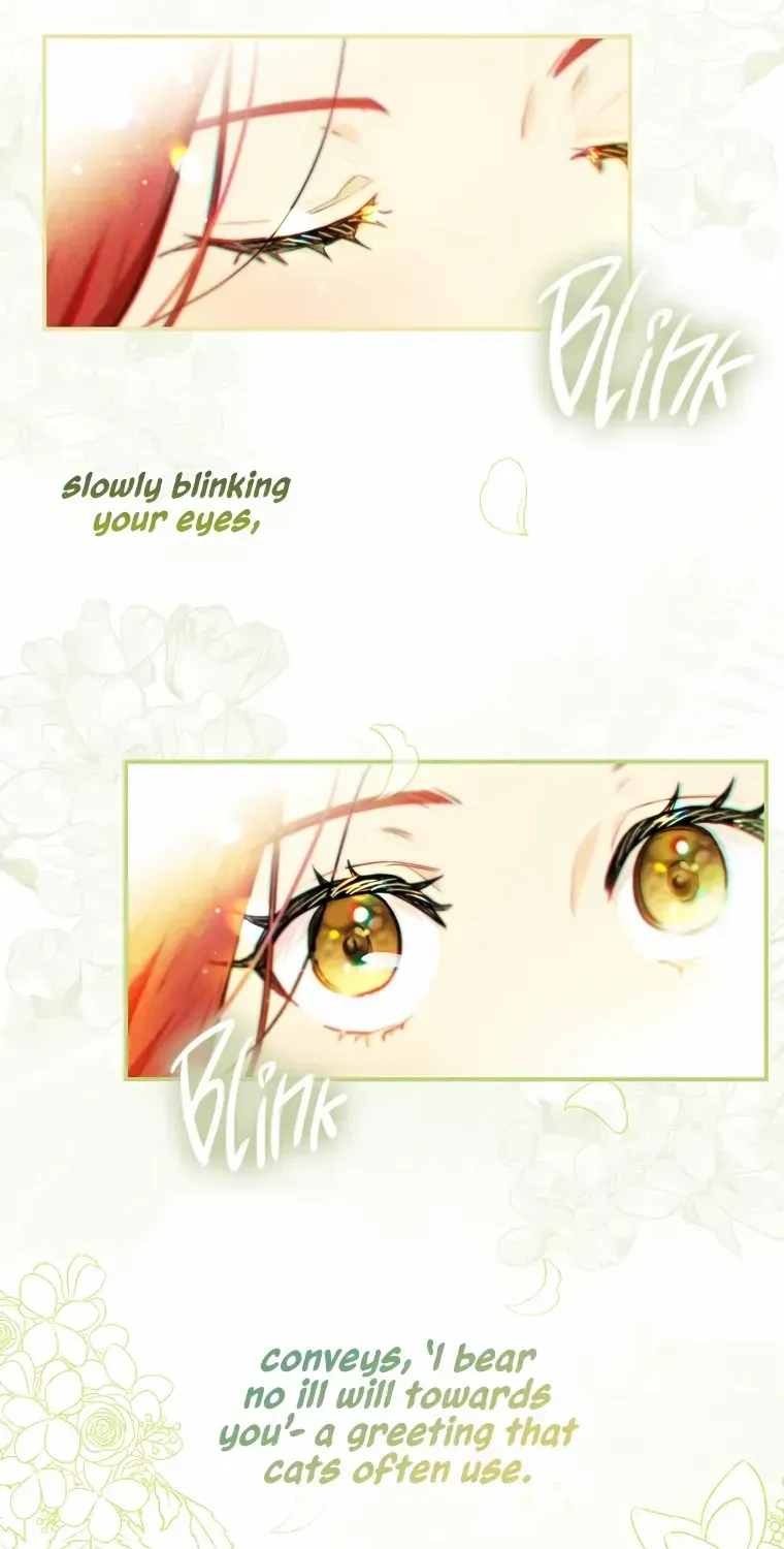 Even Though I Transmigrated as a Villainess, I’d Rather Raise a Cat Chapter 1 page 94 - 