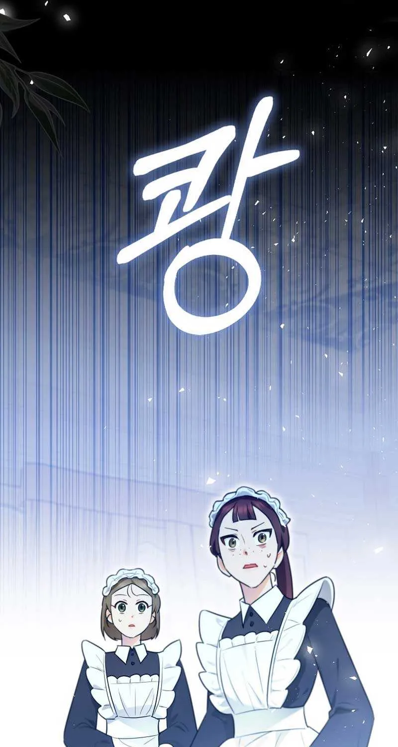 Even Though I Transmigrated as a Villainess, I’d Rather Raise a Cat Chapter 10 page 27 - 