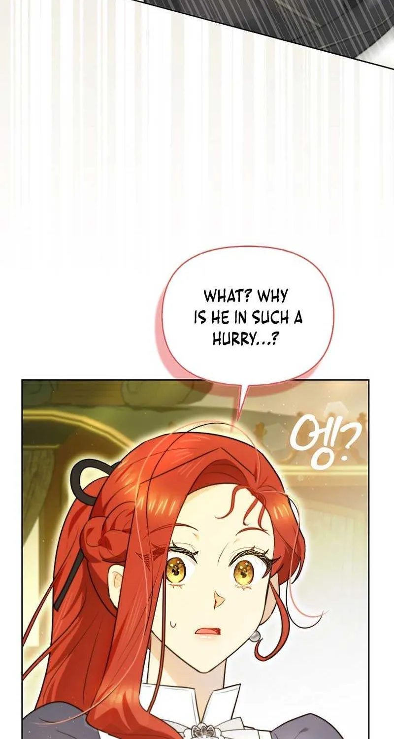 Even Though I Transmigrated as a Villainess, I’d Rather Raise a Cat Chapter 11 page 54 - 