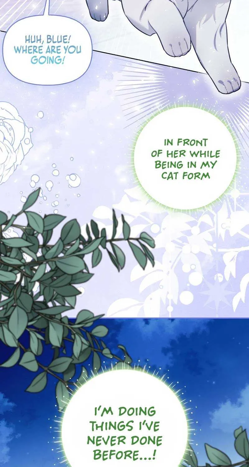 Even Though I Transmigrated as a Villainess, I’d Rather Raise a Cat Chapter 12 page 26 - 