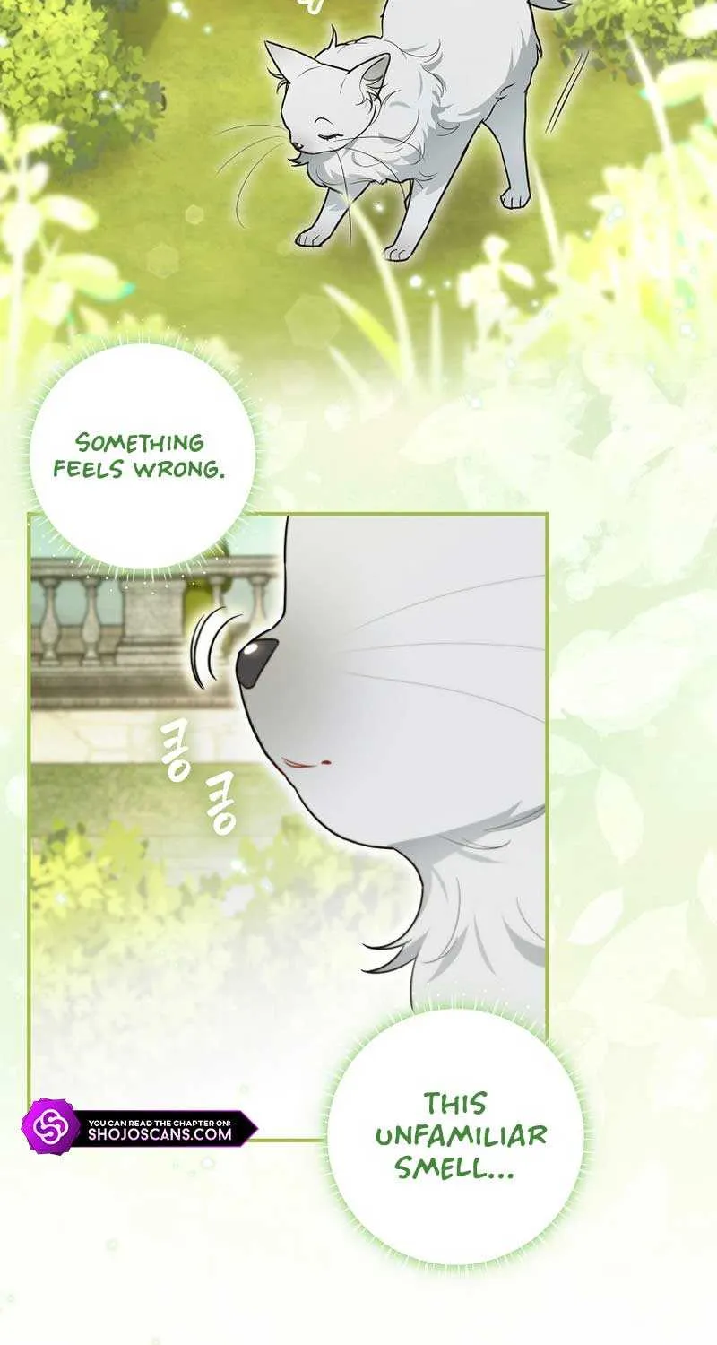 Even Though I Transmigrated as a Villainess, I’d Rather Raise a Cat Chapter 12 page 79 - 