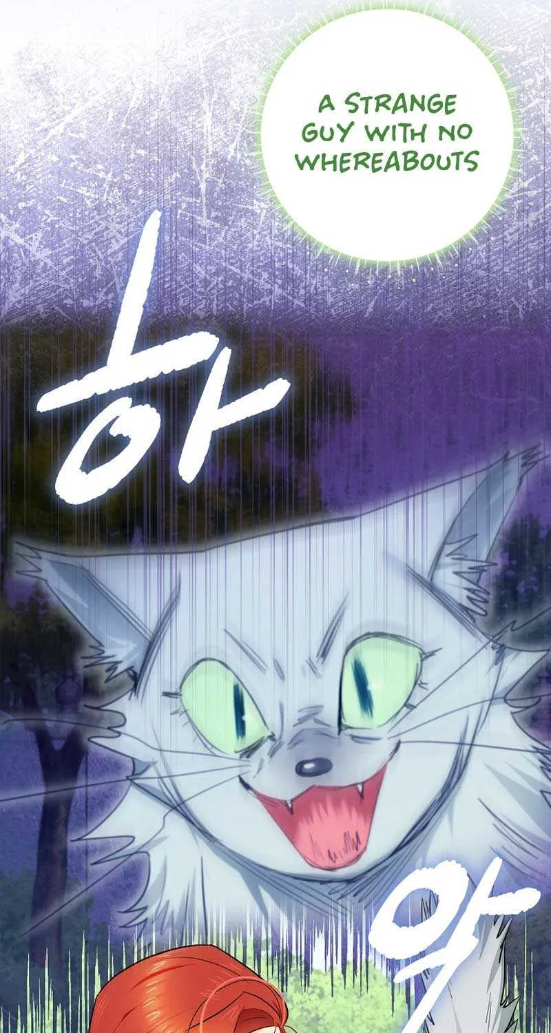 Even Though I Transmigrated as a Villainess, I’d Rather Raise a Cat Chapter 12 page 91 - 