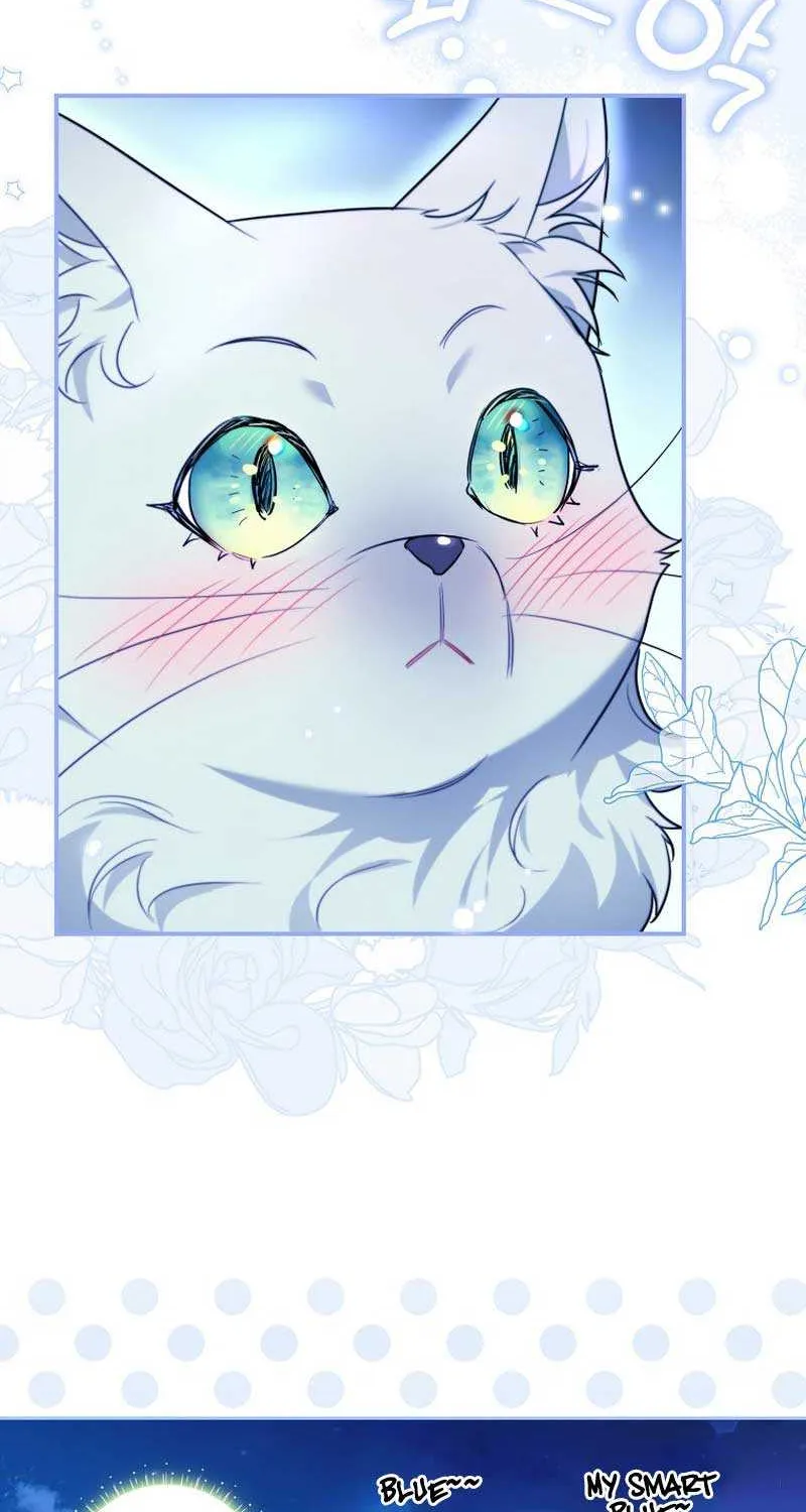 Even Though I Transmigrated as a Villainess, I’d Rather Raise a Cat Chapter 13 page 15 - 