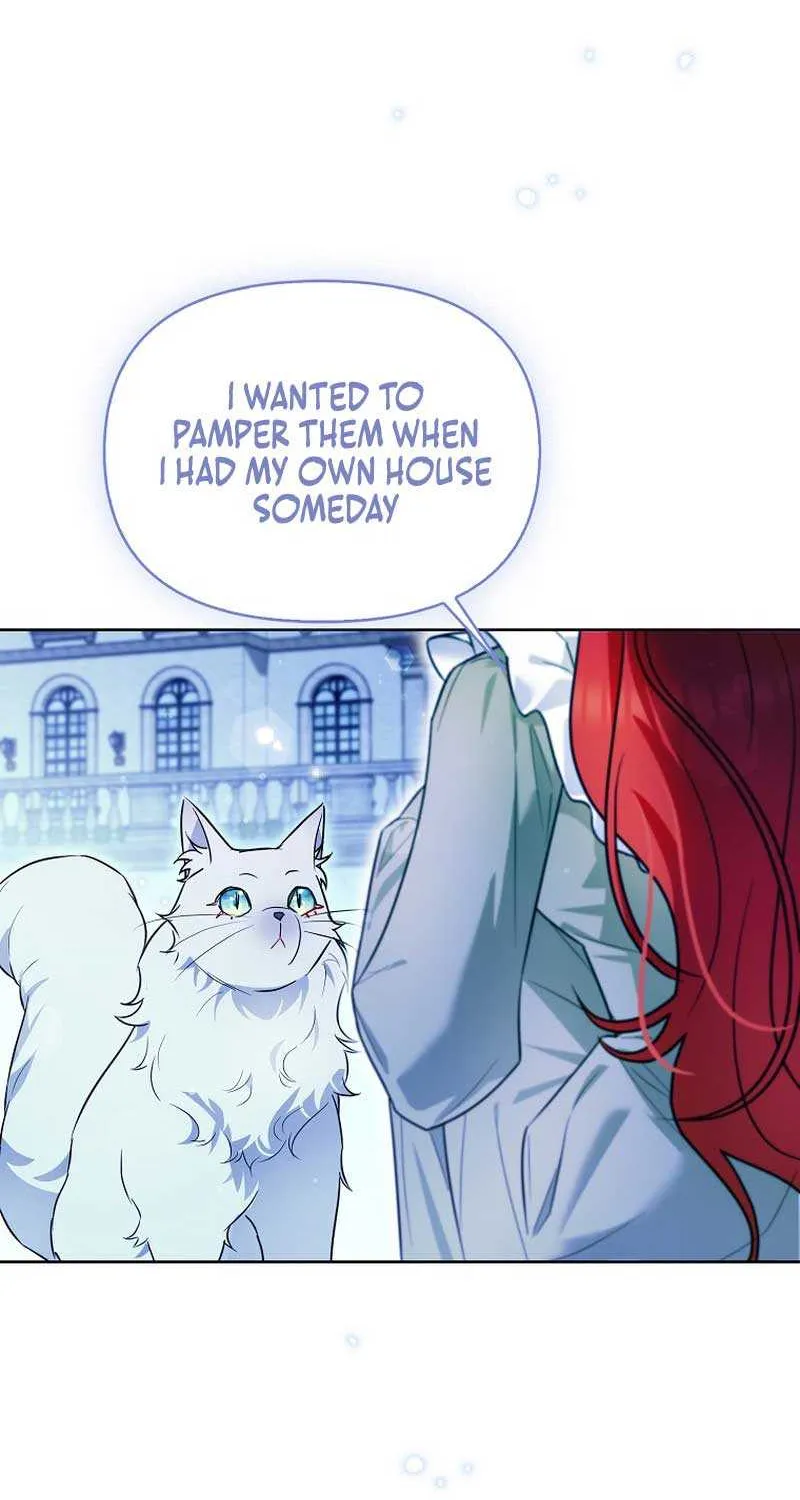 Even Though I Transmigrated as a Villainess, I’d Rather Raise a Cat Chapter 13 page 18 - 