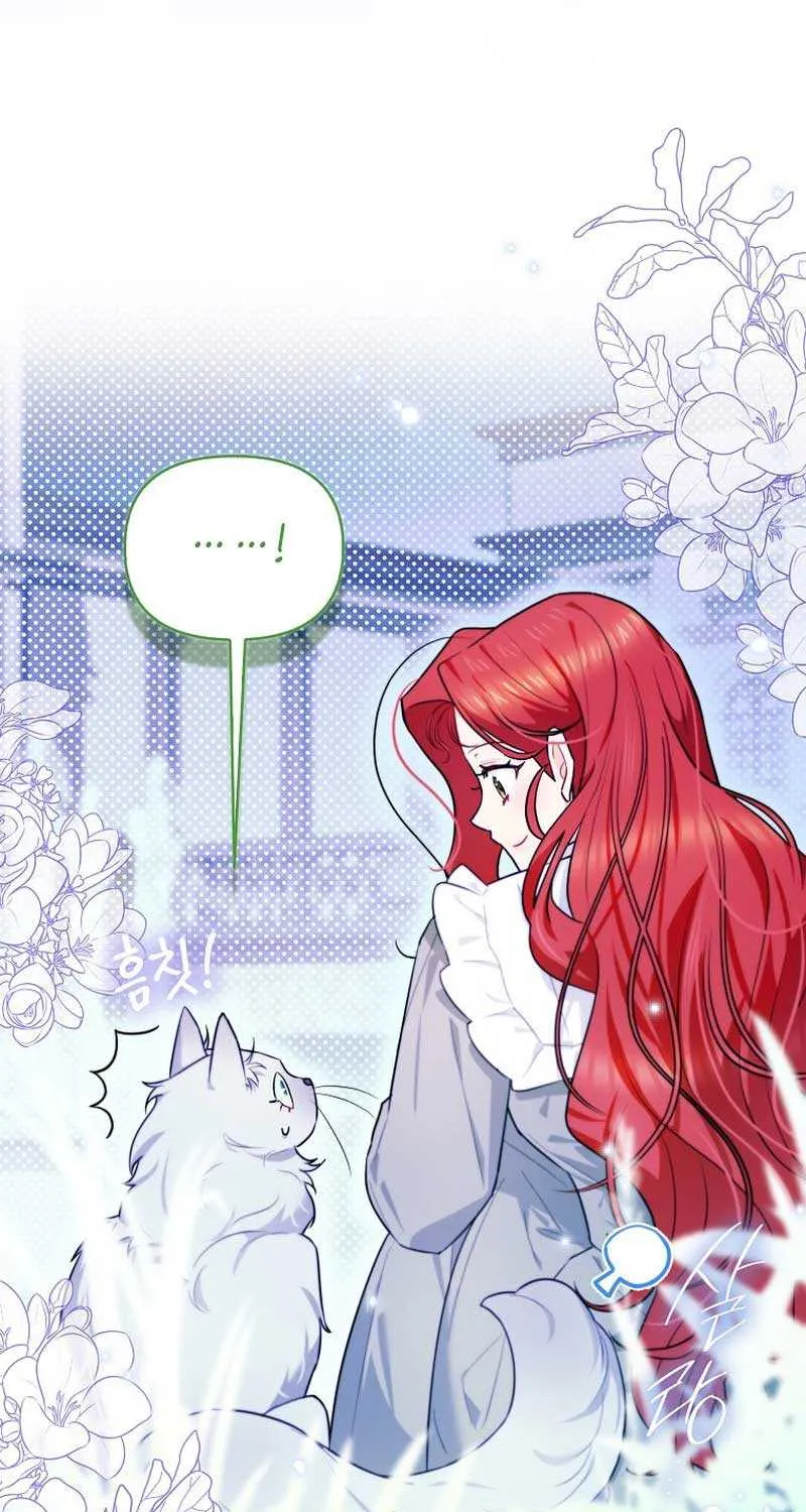 Even Though I Transmigrated as a Villainess, I’d Rather Raise a Cat Chapter 13 page 24 - 
