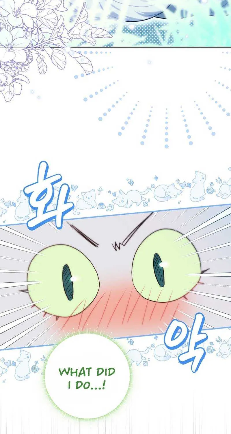 Even Though I Transmigrated as a Villainess, I’d Rather Raise a Cat Chapter 13 page 25 - 