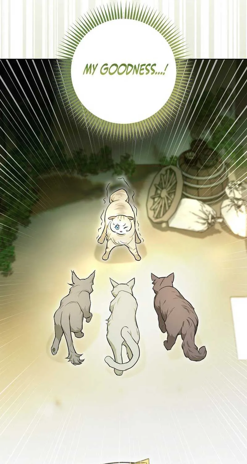 Even Though I Transmigrated as a Villainess, I’d Rather Raise a Cat Chapter 13 page 37 - 