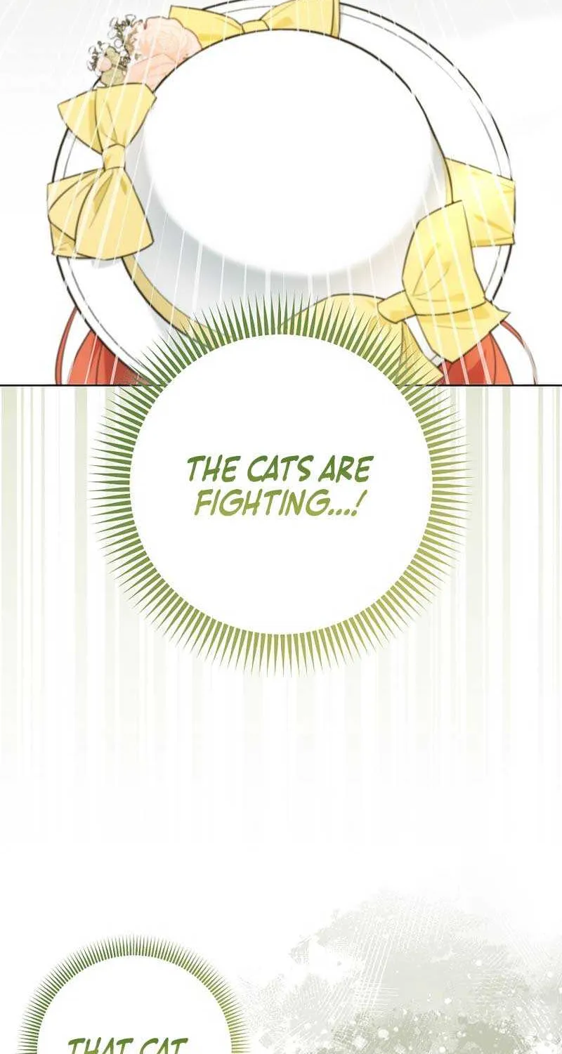 Even Though I Transmigrated as a Villainess, I’d Rather Raise a Cat Chapter 13 page 38 - 