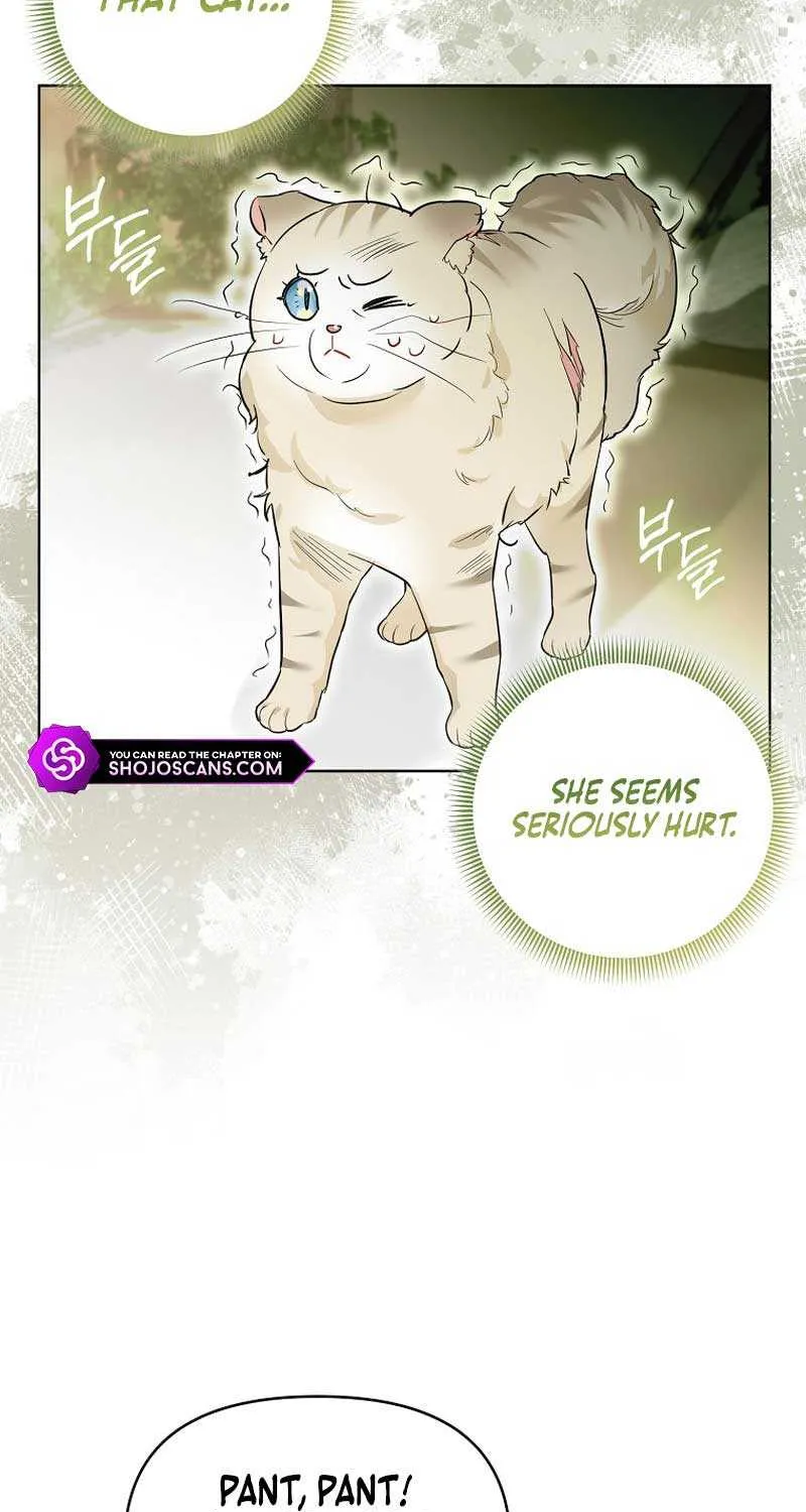 Even Though I Transmigrated as a Villainess, I’d Rather Raise a Cat Chapter 13 page 39 - 