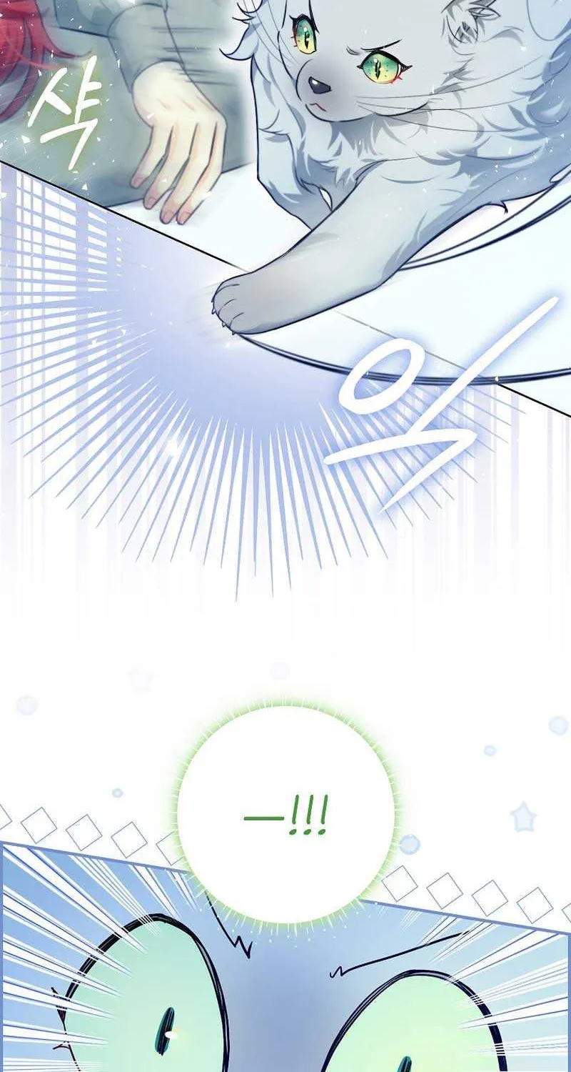 Even Though I Transmigrated as a Villainess, I’d Rather Raise a Cat Chapter 13 page 5 - 