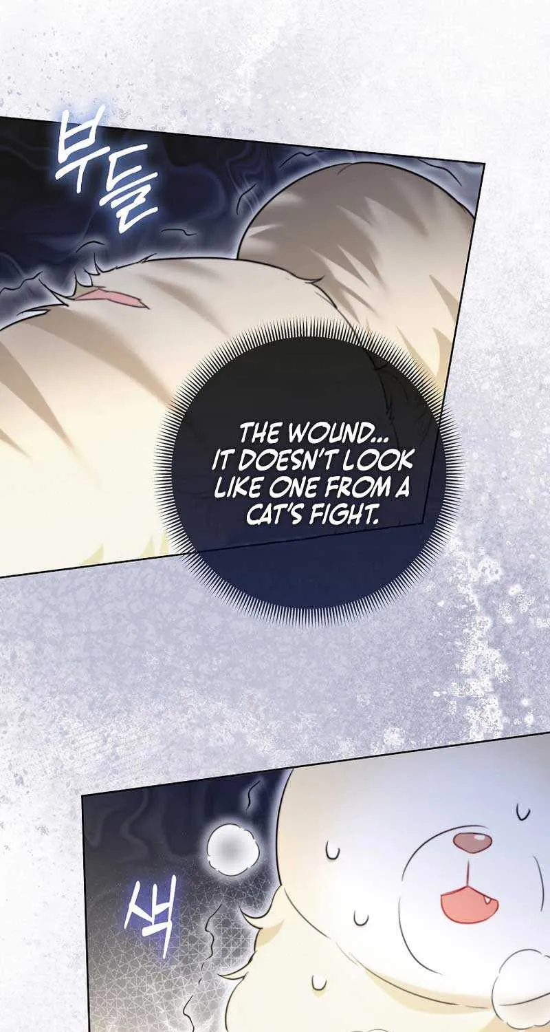 Even Though I Transmigrated as a Villainess, I’d Rather Raise a Cat Chapter 13 page 41 - 