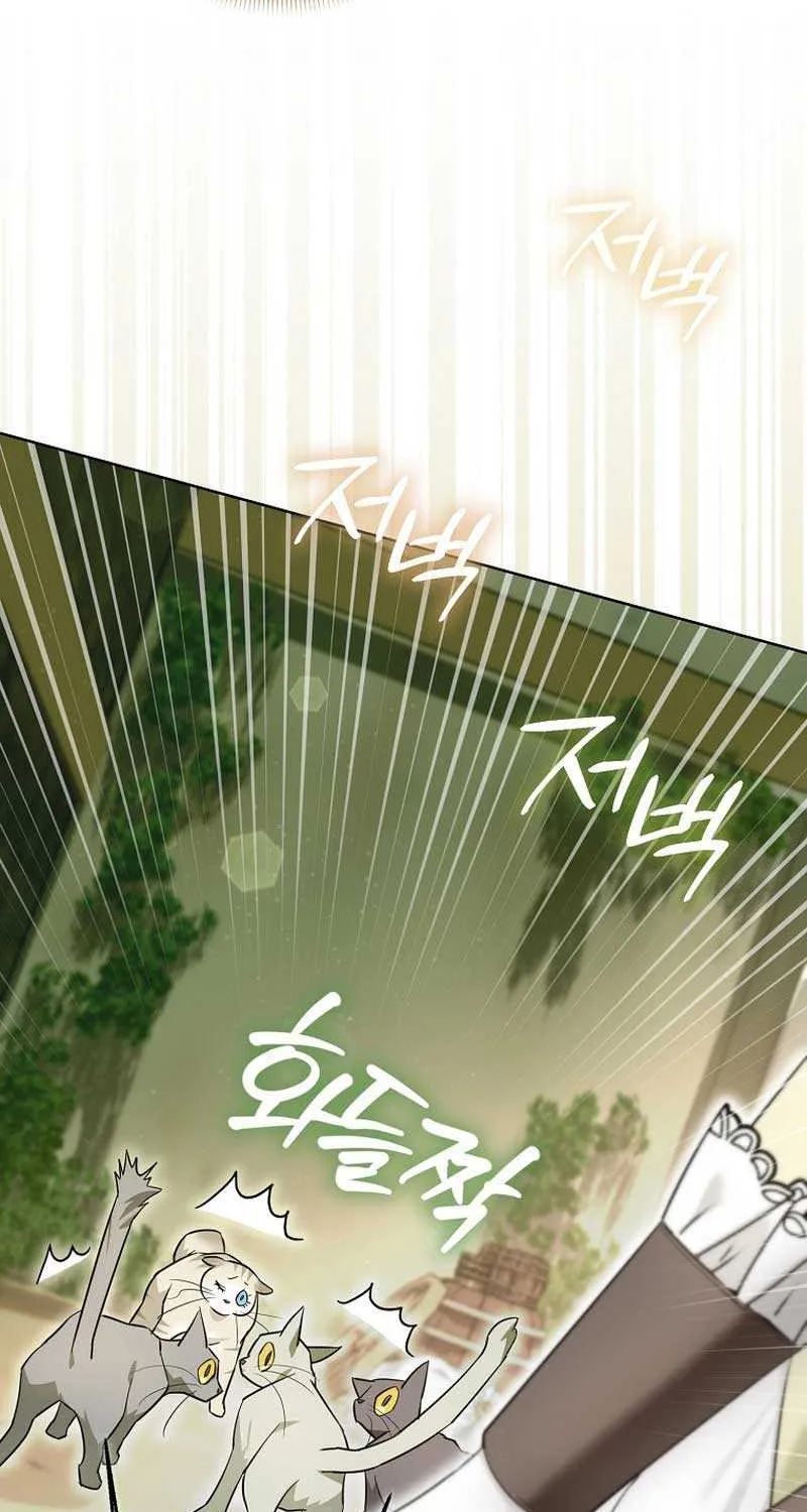 Even Though I Transmigrated as a Villainess, I’d Rather Raise a Cat Chapter 13 page 46 - 