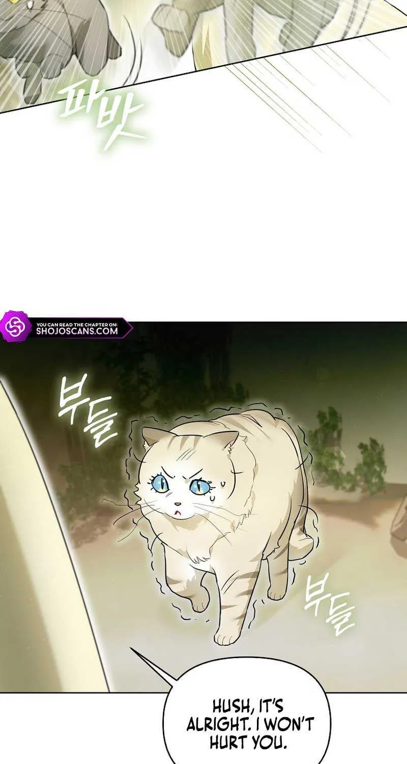 Even Though I Transmigrated as a Villainess, I’d Rather Raise a Cat Chapter 13 page 48 - 
