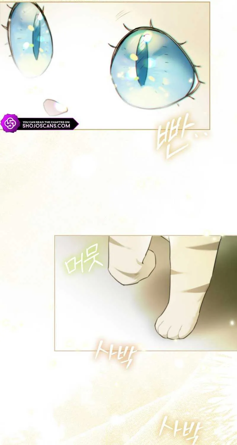 Even Though I Transmigrated as a Villainess, I’d Rather Raise a Cat Chapter 13 page 51 - 