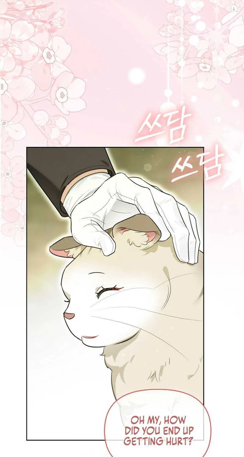 Even Though I Transmigrated as a Villainess, I’d Rather Raise a Cat Chapter 13 page 54 - 