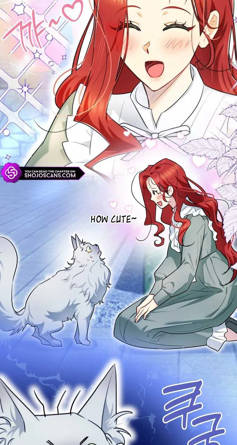 Even Though I Transmigrated as a Villainess, I’d Rather Raise a Cat Chapter 13 page 7 - 