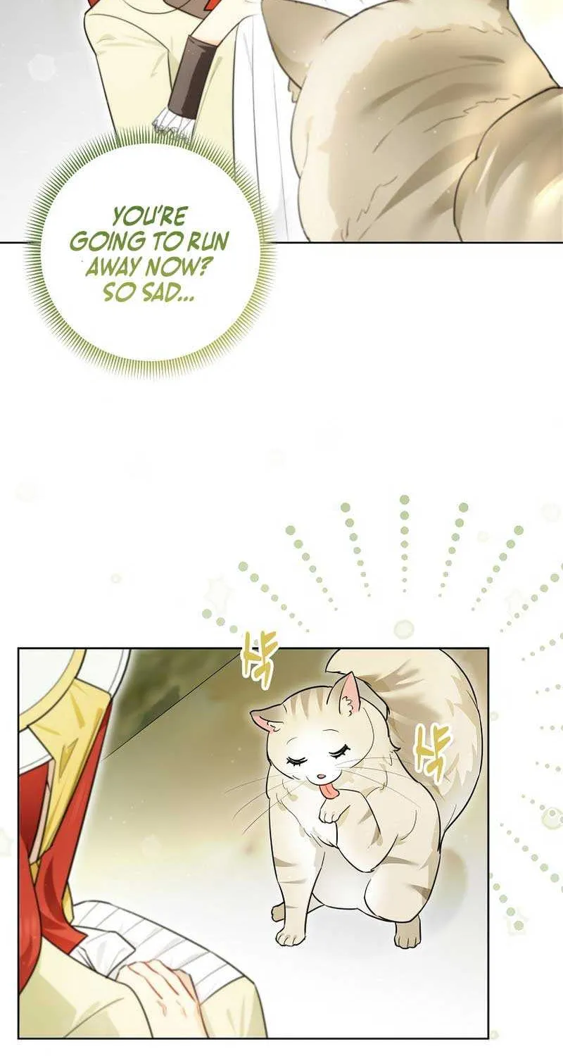 Even Though I Transmigrated as a Villainess, I’d Rather Raise a Cat Chapter 13 page 62 - 