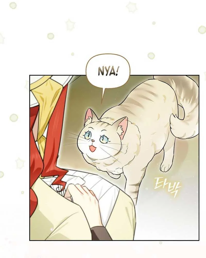 Even Though I Transmigrated as a Villainess, I’d Rather Raise a Cat Chapter 13 page 63 - 