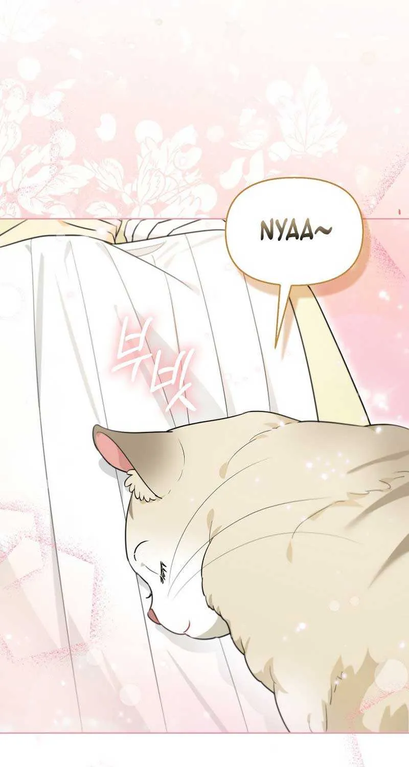 Even Though I Transmigrated as a Villainess, I’d Rather Raise a Cat Chapter 13 page 64 - 