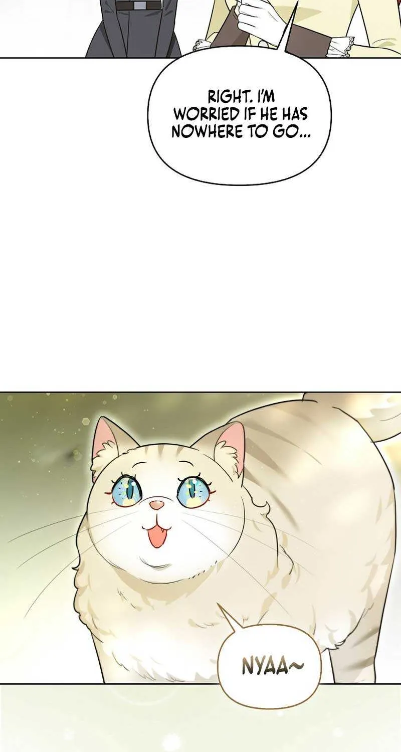Even Though I Transmigrated as a Villainess, I’d Rather Raise a Cat Chapter 13 page 69 - 