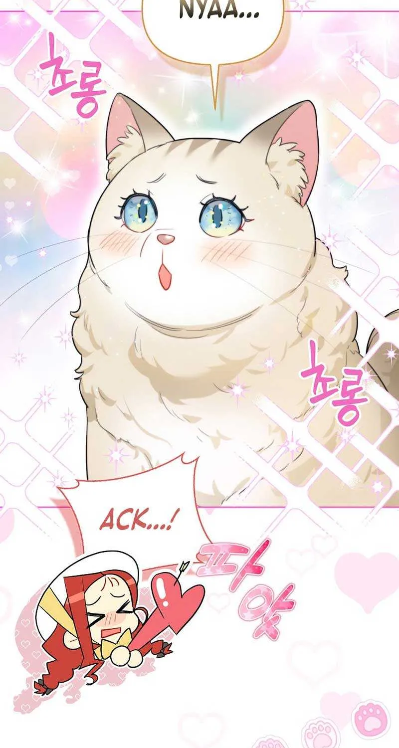 Even Though I Transmigrated as a Villainess, I’d Rather Raise a Cat Chapter 13 page 73 - 