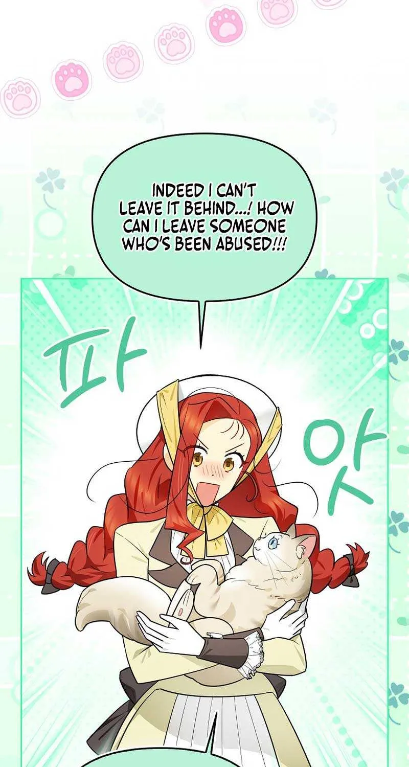 Even Though I Transmigrated as a Villainess, I’d Rather Raise a Cat Chapter 13 page 74 - 