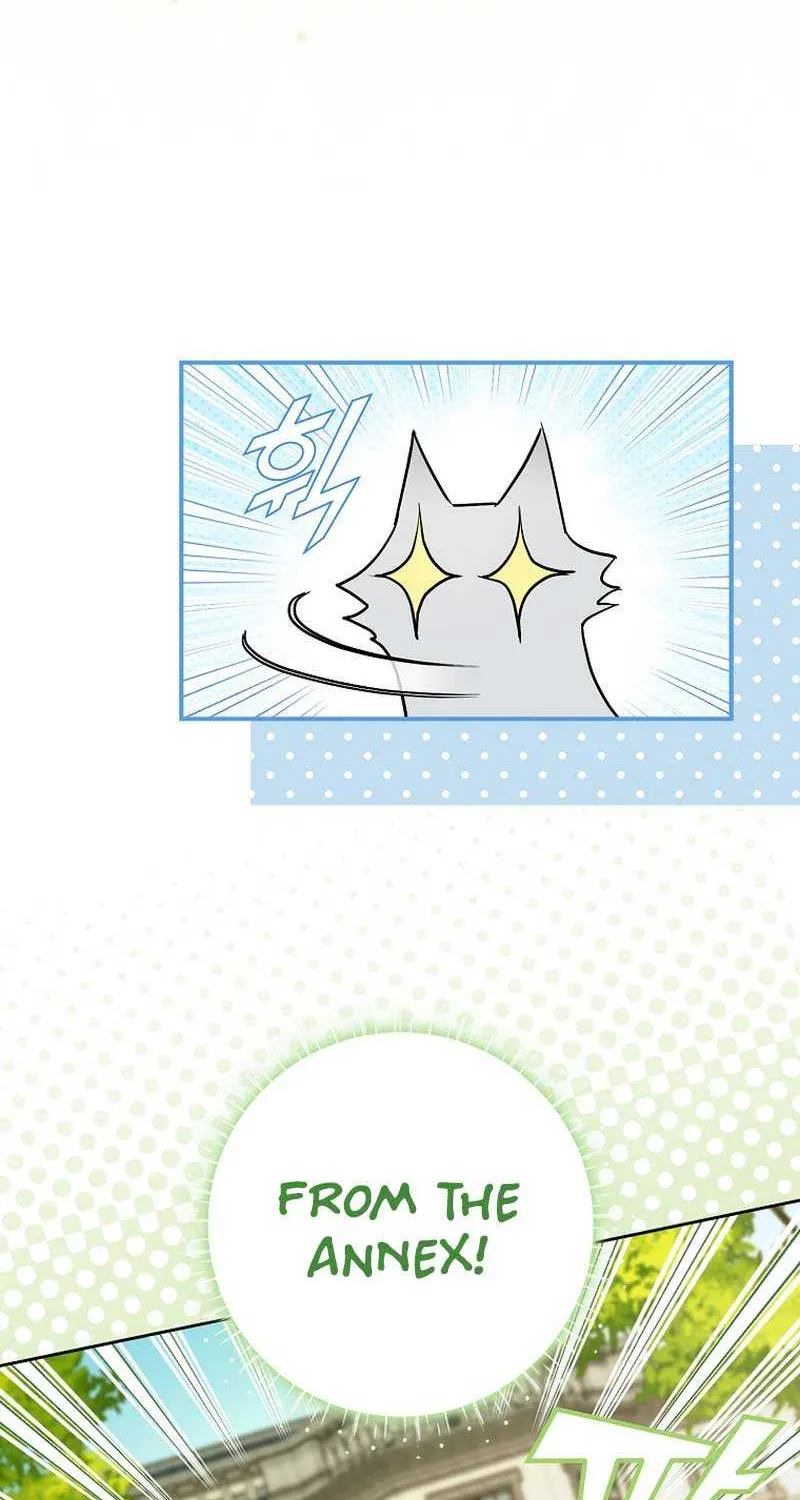 Even Though I Transmigrated as a Villainess, I’d Rather Raise a Cat Chapter 13 page 81 - 