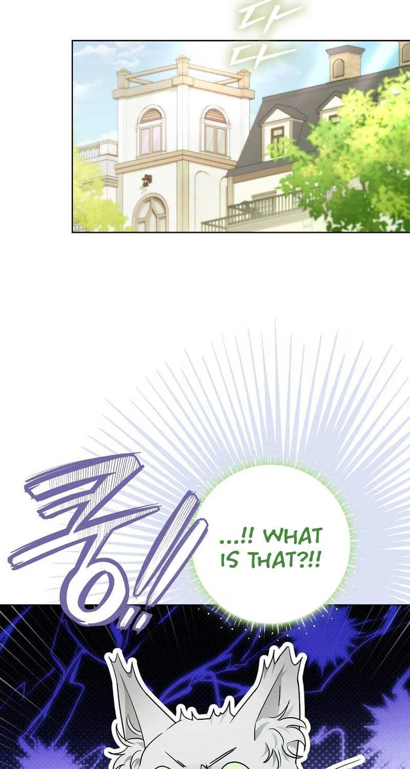 Even Though I Transmigrated as a Villainess, I’d Rather Raise a Cat Chapter 13 page 83 - 